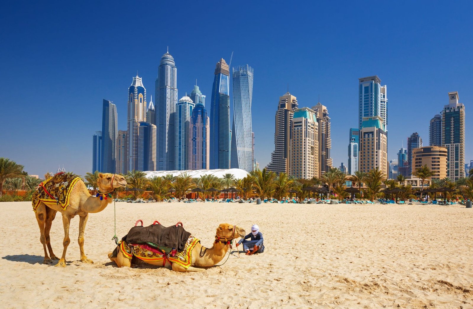 20 things to know before you move to the uae 1 scaled 1