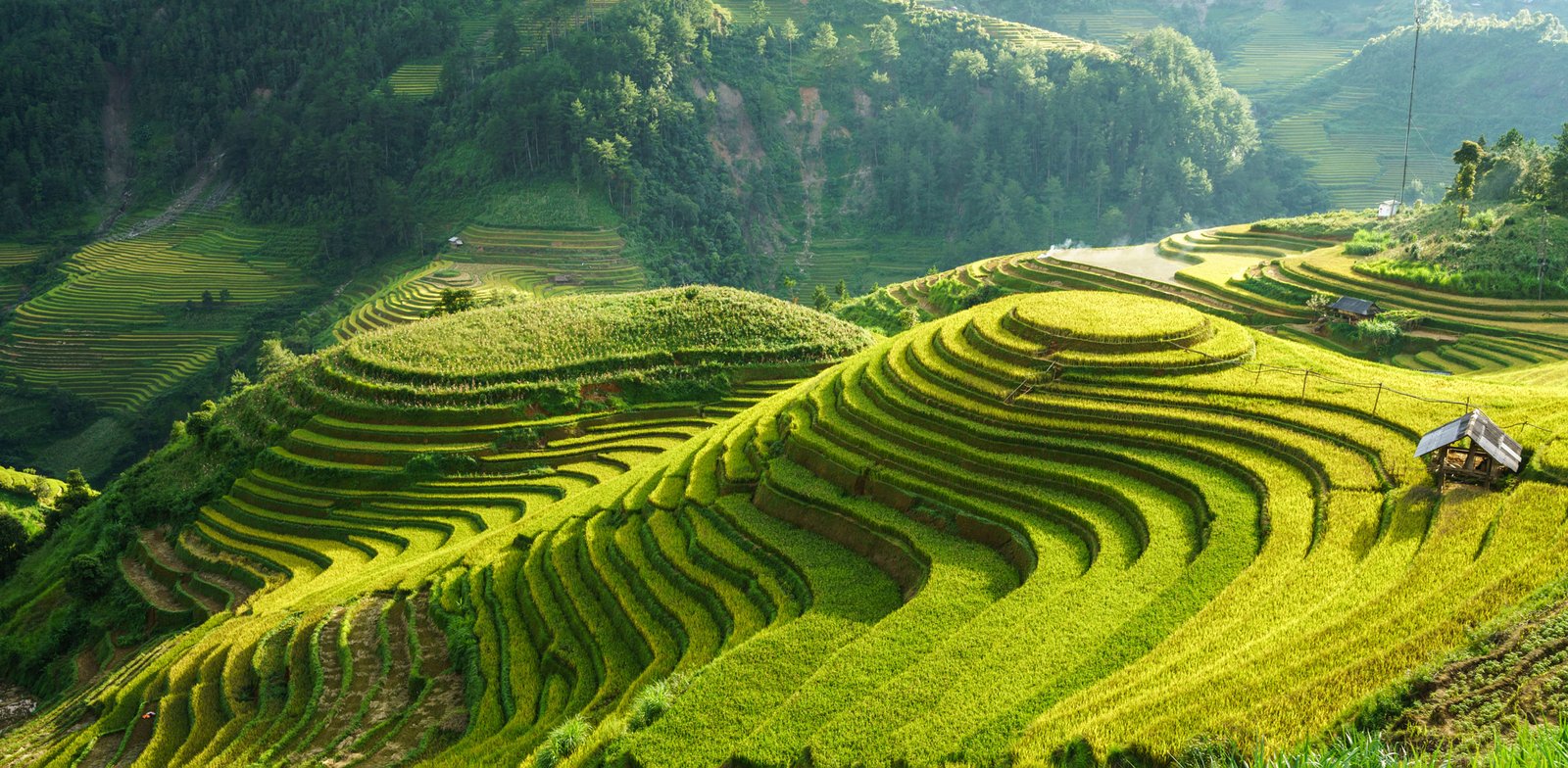 web header vietnam sapa AdobeStock 232220357