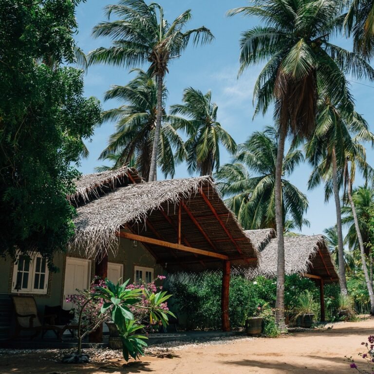LUNA LAGUNA
