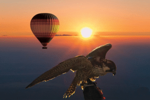 3d28fd4d 3d24 4b95 a927 7adeaf71d1b8 amazing hot air balloon with beautiful desert sunrise view