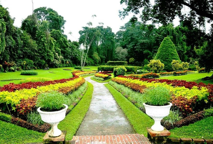 472864805Kandy Botanical Garden