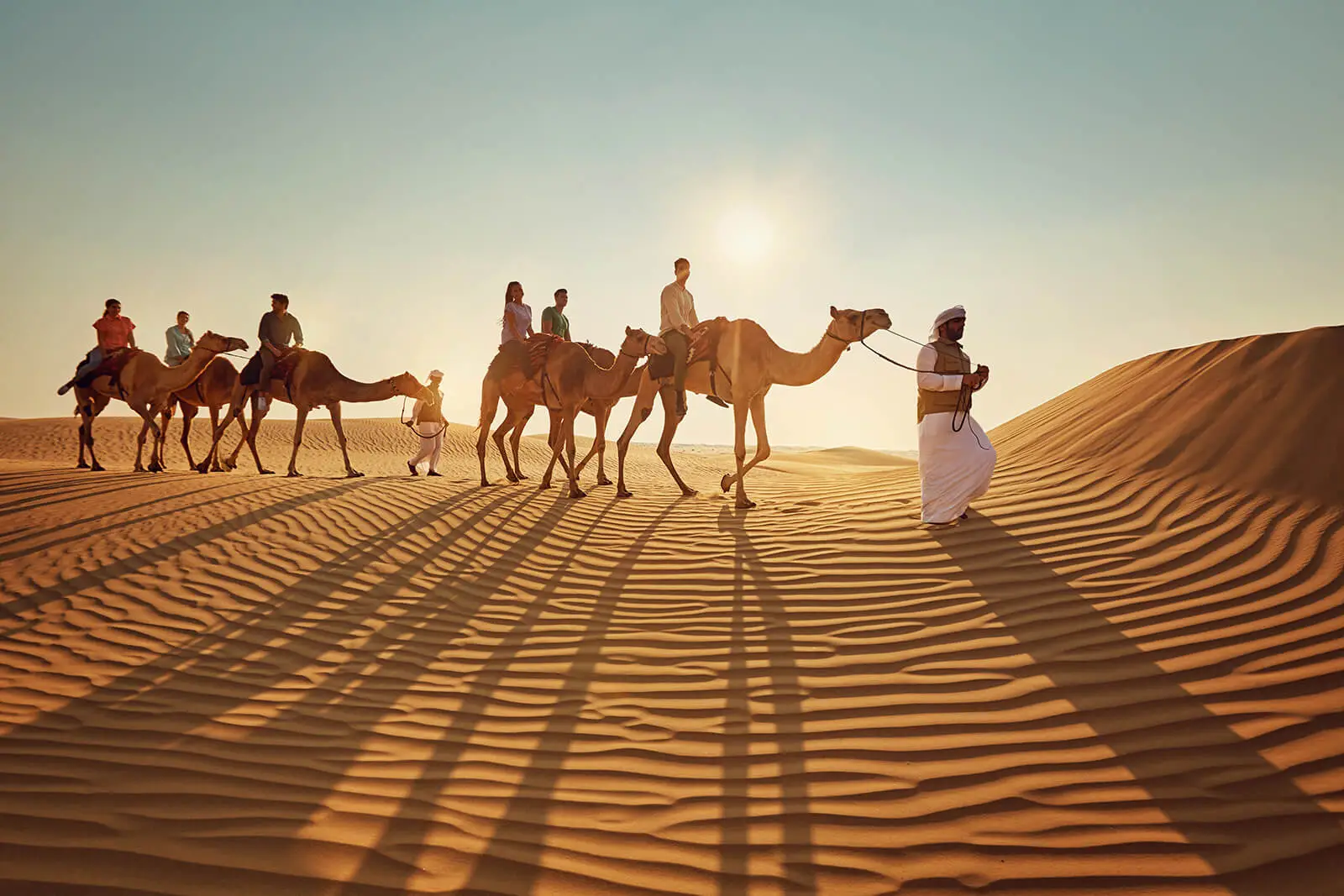 Camel Ride Tour Dubai 1