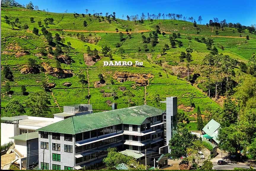 Damro Labookellie Tea Centre and Tea Garden