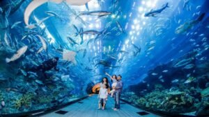 Dubai Aquarium and Under Water Zoo DAUZ1 1