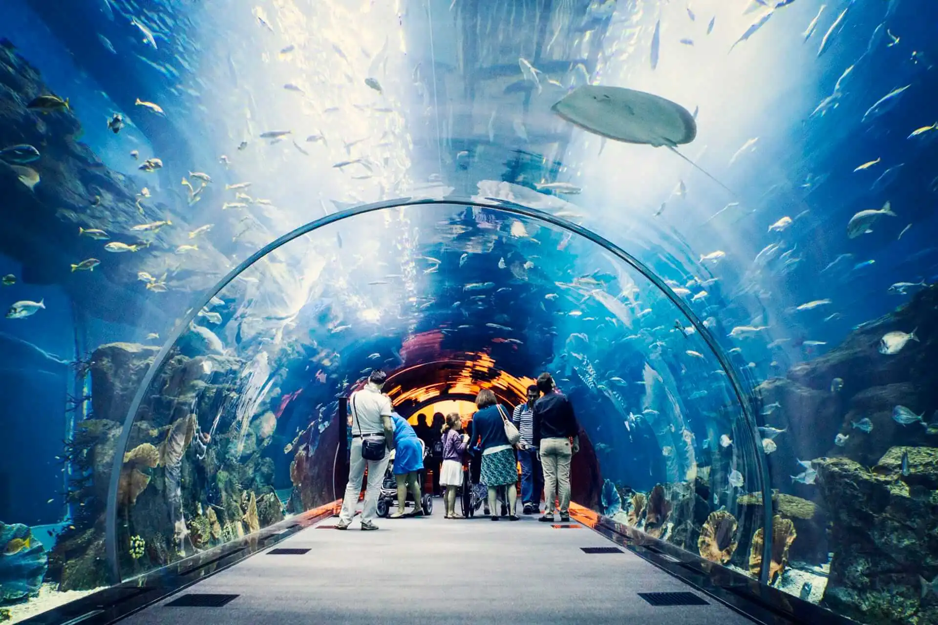 Dubai Mall Aquarium 1 Dubai Mall Aquarium 1