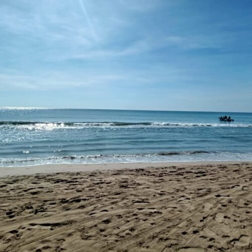IMG 20240613 WA0006