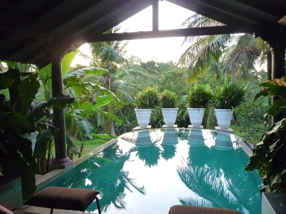 casa heliconia 5