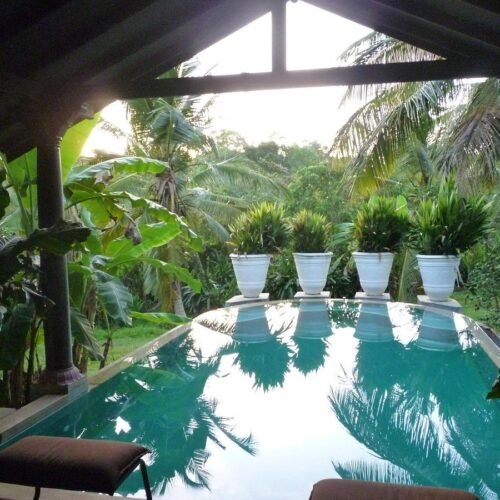 casa heliconia 5