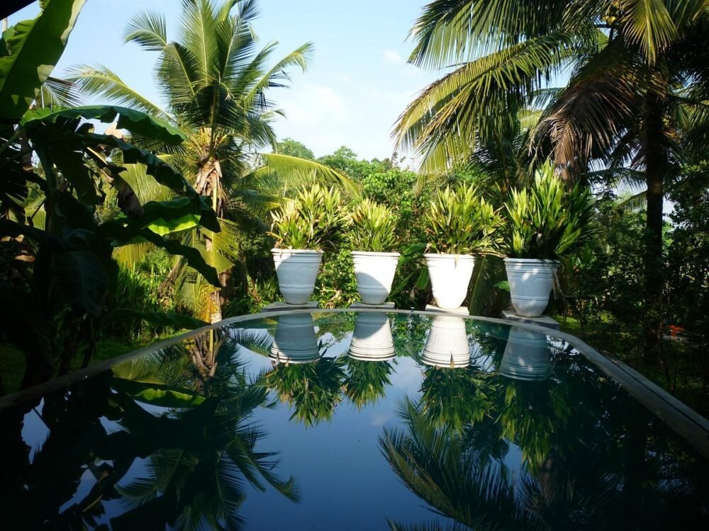 casa heliconia 6