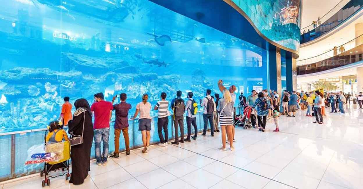 dubai aquarium 2
