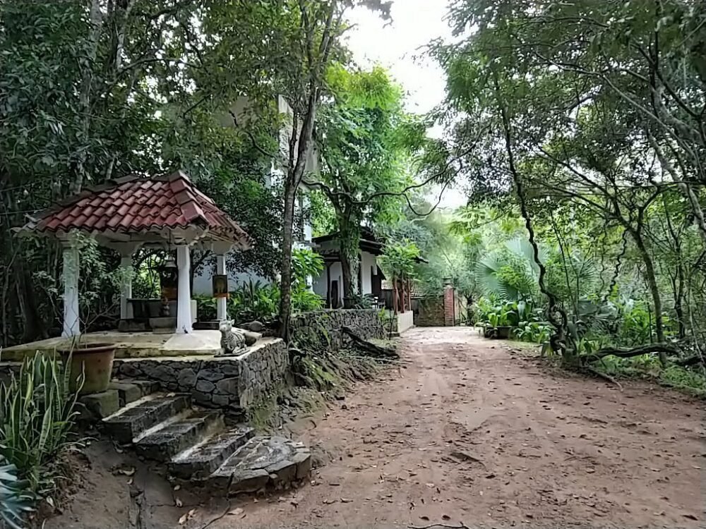 img 20190114 162913 largejpg