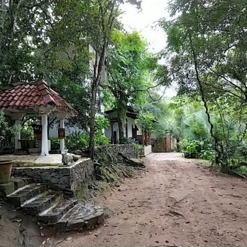 img 20190114 162913 largejpg