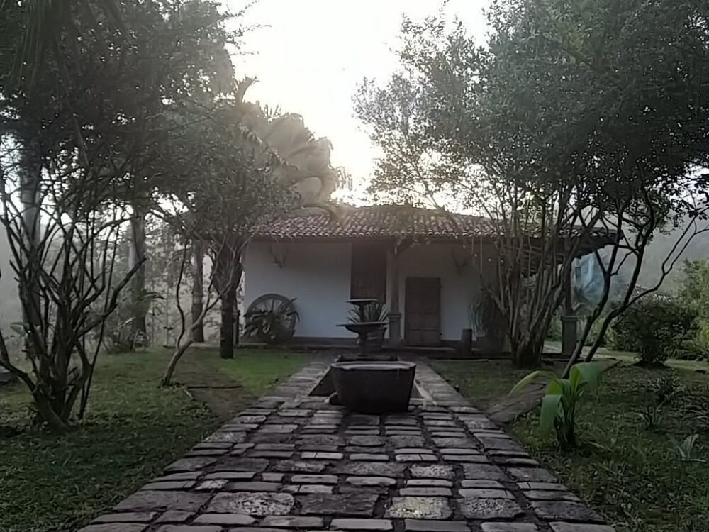 img 20190115 180420 largejpg