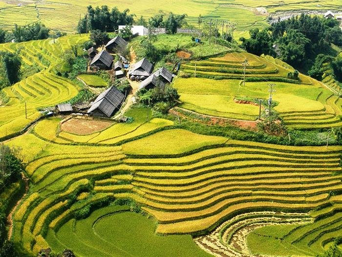lao chai ta van 2