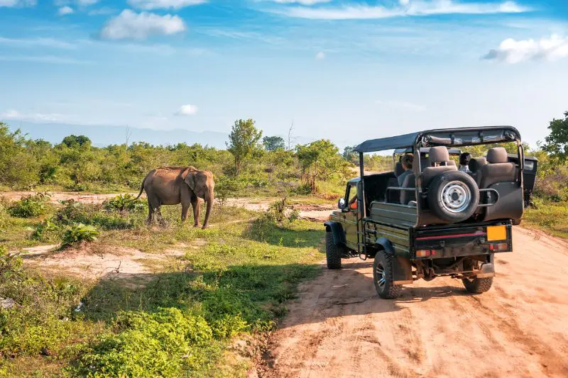 Grand Tour Sri Lanka 9 really wildlife sri lanka safari planning guide
