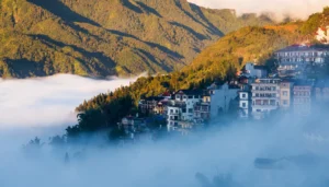 sapa cho ra mat ung dung so du lich thong minh sapa tour 154043