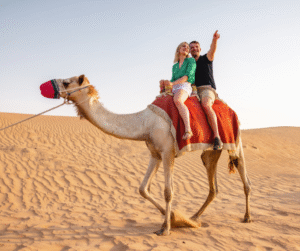 Couple riding a camel during a Desert Safari in Dubai