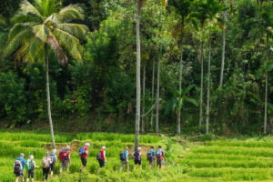 Sri Lanka Hiking 1